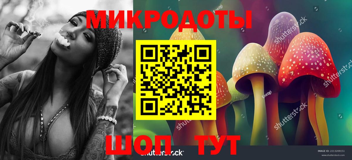 Галлюциногенные грибы прущие грибы  Вход с VPN  Кингисепп 